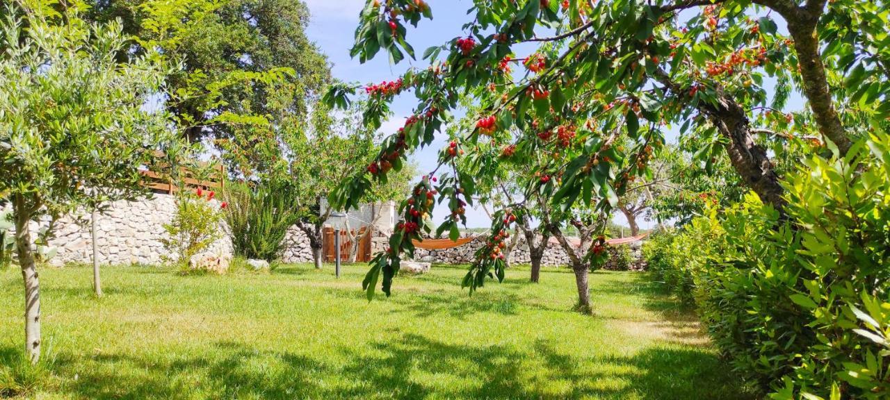 Red Rose B&B Martina Franca Exterior photo